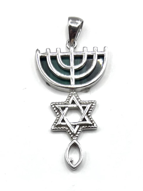 Sterling Silver With Stone of Israel Grafted In Pendant